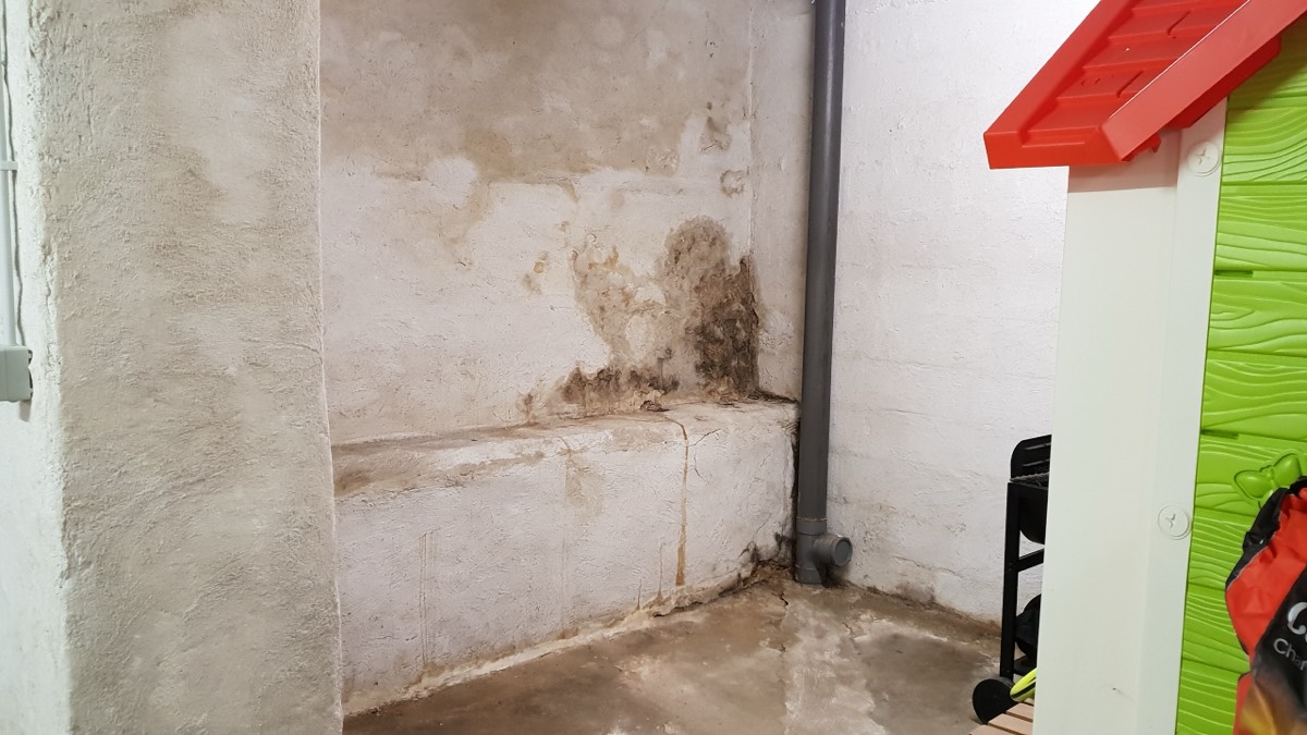 Infiltrations d'eau - Expertise humidité à Paris